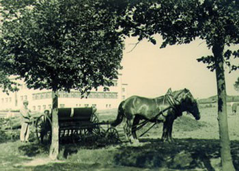 Vývoj do roku 1925